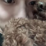 Bae In-hyuk Instagram – 우리 쪼꼬가 가족 곁을 떠난지 2주가 넘었네
뭐가 그리 바쁘다고 마지막 모습도 못 봐주고 후회스러운거 투성이야
촬영중에 소식 듣고 아무것도 할 수 없는게 답답했어 쪼꼬야
거기선 아프지도 말고 산책도 많이 하고 친구들이랑 맛있는것도 많이 먹고!!
너무 너무 너무 보고싶어 쪼꼬야
자주 보러 갈게🤎사룽해