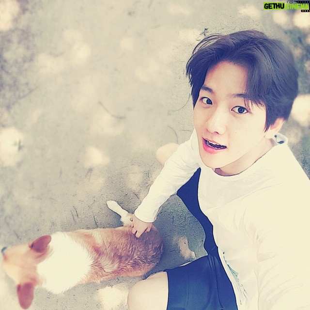 Baekhyun - 1.1 Million Likes - 우리몽룡이랑산책 2탄!! 🐾👣 #몽룡이지친상태 #오른쪽다리포인트 #각을아는몽룡
