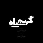 Bahare Kianafshar Instagram - . . رونمایی از ویدیو-انیمیشن لوگوی «گربه سیاه» آغاز اکران سراسری در ایران از ۱۰ آذر ۱۴۰۰ فیلم سینمایی «گربه سیاه» به کارگردانی کریم امینی و تهیه کنندگی بهرام رادان در نوبت اکران پاییز قرار گرفته و از تاریخ ۱۰ آذرماه اکران خواهد شد. . فیلمبرداری این فیلم تنها چند ماه قبل از شروع پاندمی کرونا به پایان رسید و اولین نمایش آن سال گذشته در بخش مسابقه جشنواره ورشو ۲۰۲۰ بود. عوامل فیلم امیدوارند با توجه به واکسینه شدن تعداد زیادی از شهروندان و استقبال مردم از اکران فیلمهای جدید بتوانند مخاطبان خود را که عمدتا دانشجویان و جوانان متولد دهه ۷۰ و ۸۰ هستند به سالنهای سینما بکشانند. . دست اندرکاران فیلم «گربه سیاه» قصد دارند برنامه تورجهانی را همزمان با ایران از شهرهای استانبول و دبی آغاز کرده و فیلم در بیش از ۱۵ شهر اروپایی و به دنبال آن کانادا و امریکا نمایش خواهد داشت. . همچنین در شب اکران استانبول و چند شهر اروپایی، برخی بازیگران«گربه سیاه»حضور خواهند داشت. . در «گربه سیاه» بهرام رادان، ترلان پروانه، حسین پورکریمی، کیارکنی، پیام احمدی‌نیا، آزاده سدیری،علیرضا استادی، بهروز قادری، ستایش رجایی‌نیا، آرزو نبوت، با حضور افتخاری بهاره کیان افشار، رضا یزدانی، احسان کرمی، علی اوجی، نگار شیرازی و گروه سون بند ایفای نقش می‌کنند. . پخش «گربه سیاه» در ایران بر عهده شرکت خانه فیلم است که تابستان امسال فیلم سینمایی دینامیت و هم اکنون فیلم سینمایی قهرمان، تازه‌ترین ساخته اصغر فرهادی فیلمساز پرافتخار کشورمان را در حال پخش دارد. طراحی لوگو: تهمینه اذکاری . . #گربه_سیاه #بهرام_رادان #ترلان_پروانه #بهاره_کیان_افشار #گربه_سیاه۱۴۰۰