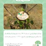 Bahare Kianafshar Instagram - . خیلی اهل تولد بازی نیستم ولی دهم اردیبهشت به هر حال متفاوته و برام وقتی مهم و خواستنی میشه که محبتهای خالصانه و قشنگ شما رو دریافت میکنم وگرنه تو این دو تولد اخیر با این اوصاف بیماری و شرایط بد اقتصادی نمیشه از ته دل شاد بود به هر حال اگر بواسطه روز تولدم اگر فرصت تنها یک ارزو داشته باشم ارزوم سلامتی همه مردم و خلاصی از شر کابوس این ویروس بی رحمه که قطعا تنها بواسطه زدن واکسن اتفاق میفته و واکسن زدن هم بواسطه سرعت عمل افراد مسئول و دلسوز مملکت؛ پس دعا میکنم که هر چه زودتر این ممکن فراهم شه🙏🏼 . در کنار پیامهای زیبا و استوری و پستهای پر از ذوق و خلاقیت و قشنگ تون که بخش دلچسبش از طرف هوادارای عزیزم با یه عالمه هنرمندی بود چند تا هدیه عالی هم دریافت کردم که اولیش این بود که روز تولدم مادربزرگ عزیزم واکسن زد😍 دومیش سه اصله نهالی که به نام من کاشته شد و تقدیم به زمین عزیز🍀 این فرهنگ هدیه یکی از دلچسب ترین اتفاقات ممکنه👌🏼 و یکی دیگه اش این که بخشی از طرفدارای نازنینم با جمع اوری مبالغ دلخواهشون و کمک اون به خیریه بهنام دهشپور جهت حمایت بیماران بی بضاعت مبتلا به سرطان منو از ته دل شاد کردن و نمیتونم براتون خوشحالی و حس شوق و شعفم و توصیف کنم و فقط میتونم بگم عاشقتونم❤️🌹 همیشه نقطه های هرچند کوچک اما نورانی مهربانی در زندگی نمیذاره امید گم بشه... و ما تنها با امید زنده ایم و بس👌🏼 . @behnamcharity @maryam.damavandi.md @asalmoj73 ‏@baharekianafshar_zynab ‏@bahare_harir ‏@baharekianafshar_ava ‏@baharekianafshar.sara ‏@baharekianafshar_setayesh ‏@Baharehkianafshar_mohadeseh ‏@_baharekianafshar_baran ‏@Bahare_fantastic ‏@bahare__negin ‏@baharekianafshar_nazgol ‏@bahare_fnp ‏@baharekianafshar_behnam ‏@pardis_pourabedini_mobina ‏@baharekianafshar.cute ‏@baharekianafshar_hadis ‏@baharekianafshar.kiana ‏@baharekianafshar__bahare ‏@bahareh.kianafshar.62 ‏@baharekianafshar._.zariii ‏@bahare_leman ‏@baharekianafshar.hossein ‏@baharekianafshar._.ghazal ‏@baharekianafshar__sara ‏@baharekianafshar.aida ‏@baharekianafshar___mahla5 ‏@baharekianafshar_fan_a ‏@bahare_k.a_mahdi ‏@Baharekianafshar_parsa ‏@baharekianafshar_negar_ ‏@baharekianafshar.houmanseyedi ‏@mj_che78 ‏@fan_baharekianafshar ‏@baharekianafshar_narrges