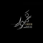 Bahare Kianafshar Instagram - . همزمان با آماده شدن برای رقابت در جشنواره فجر؛ ‌ نخستین تیزر «نمور» رونمایی شد ‌ نخستین تیزر فیلم سینمایی «نمور» کمتر از یک ماه مانده به آغاز چهلمین جشنواره فیلم فجر منتشر شد. ‌‌ به گزارش روابط عمومی پروژه؛ نخستین تیزر فیلم سینمایی «نمور» به کارگردانی داوود بیدل و تهیه‌کنندگی یاسر جعفری در حالی رونمایی شد که این فیلم تمامی مراحل پس از فیلمبرداری را پشت سر گذاشته و آماده نمایش است. ‌ «نمور» یکی از ۲۲ فیلم منتخب هیات انتخاب چهلمین جشنواره فیلم فجر است که کمتر از یک ماه دیگر در این رویداد مهم سینمایی به رقابت با آثار دیگر می‌پردازد. ‌ فیلمنامه این ملودرام ملتهب اجتماعی را نوشین معراجی به نگارش درآورده است و این دومین فیلم سینمایی بیدل در مقام کارگردان محسوب می‌شود. ‌ محمدرضا علیمردانی، سمیرا حسن‌پور، نسیم ادبی، باربد بابایی، پریسا شاهولیان، محمدرضا عباسی، سید بنیامین شهیدزاده و با حضور بهاره کیان افشار بازیگرانی هستند که در این اثر ایفای نقش کرده‌اند. ‌ در خلاصه داستان این فیلم آمده است: «تالاب رو از زندگی من نقاشی کردند، لجن‌زار و نمور.» ‌ فهرست کامل عوامل این فیلم عبارتند از تهیه کننده: یاسر جعفری، کارگردان: داود بیدل، مجری طرح و سرپرست گروه کارگردانی: ایمان یزدی، نویسنده: نوشین معراجی، برنامه‌ریز: الناز کریمی، مدیر تولید: امیر اسکندری، مدیر فیلمبرداری: مهدی ایل‌بیگی، مدیر صدابرداری: امید عاشوری، موسیقی: عیسی حبیب‌زاده ، طراح گریم: امید گل‌زاده، طراح صحنه: امین جهانی، طراح لباس: زهره سلطانی، منشی صحنه: سمیه شهرابی، تدوین: محمدحسام لواف‌زاده، صدا گذار: عرفان ابراهیم، اصلاح رنگ و نور و جلوه‌های ویژه کامپیوتری: علی تصدیقی، مدیر تدارکات: محسن دیانت، عکاس: حسن شجاعی،طراح لوگو و پوستر:حمید اسحاقی،ساخت تیزر:امیر حسین لواف زاده