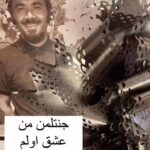 Bahare Rahnama Instagram - امکان جدید اینستاکرام در روزهایی که سخت پدرم را کم دارم برای من بیشتر از همه یادآوری پدر مهربونم بود، و شاید یک‌نشونه از اینکه هنوز هم لطفش بر من حاری است حتی از جهانی دیگر….لطفا تا این نعمت ها رو دارید قدر بدونید…