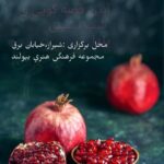Bahare Rahnama Instagram - خوشا شیراز و وضع بی مثالش ... عشق میخواند مرا دومین سال یلدای شیرازی من ... کنار شما عزیزانم قصه میخوانیم ... به همت : @boombod.cac #بهاره_رهنما#شیراز#قصه_خوانی#یلدا#۱۴۰۲#عشق#حضرت_حافظ