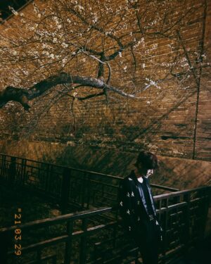 Bai Jingting Instagram - 京
