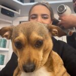 Bailee Madison Instagram - A lil week recap 💕💕❤️❤️ 🎥 🐶