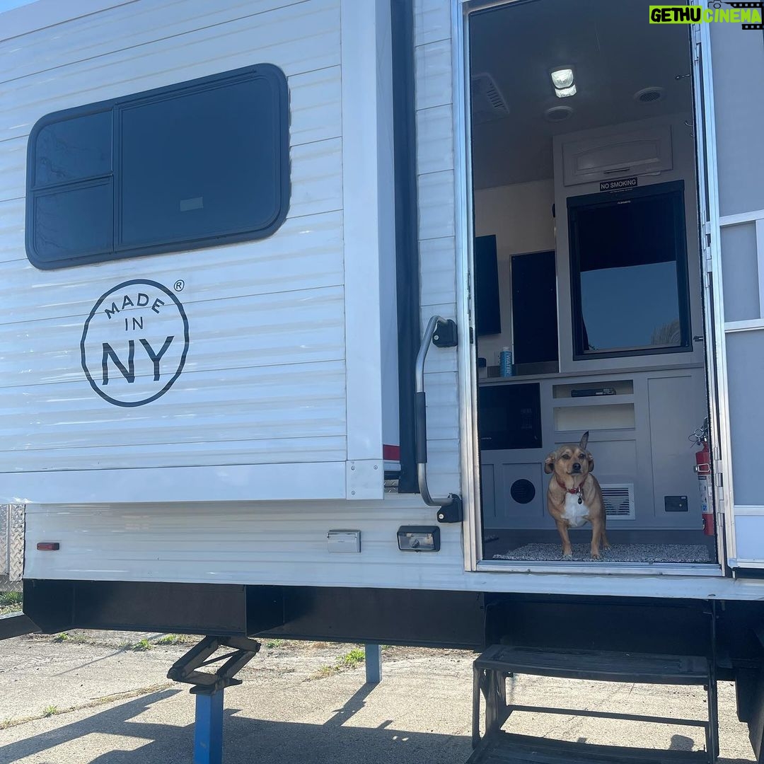 Bailee Madison Instagram - A lil week recap 💕💕❤️❤️ 🎥 🐶
