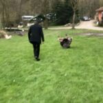 Barış Kılıç Instagram - Hayvan dili:))