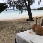 Barbie Ferreira Instagram – literally entered paradise for my birthday shout out to @turtlefiji 🐠 Turtle Island Fiji