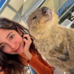 Barkha Singh Instagram – Haso, Jiyo, Muskurao. Kya pata _______ 
Comment with ❌ answers only!! 😆😆

#friday #friyay #TravelwithB #traveldiaries #Australia #Perth #RottnestIsland #westernAustralia #travel #travelexperiences