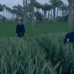 Bassel Khayyat Instagram - من أعمال شاهد الأصلية مسلسل #منعطف_خطر قريبا على شاهد vip @shahid.vod Produced by : charisma group @sadeermassoud @mmashish @bassem_samra @rihamabdelghafour @mohammedalaa.official @salmaabudeif @adamelsharkawy1 @tamer.nabiel