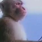 Bassem Hamraoui Instagram - كي كنت صغير و ياخذولك تاليفون لعبة من سوق الجمعة 🎧🎤📱 وفي جرة نفس اللعبة تاكل طراحة في القايلة خاطر ما خليتهمش يقيلوا