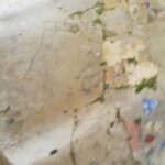 Bassem Hamraoui Instagram – الحمد لله تمام الحمد و الشكر لله… أنهينا تصوير مسلسل #قلب_الذيب
شكرا لكامل فريق العمل على التفاني و الصبر و التضحيات في سبيل إخراج هذا الحلم ليرى النور♥️