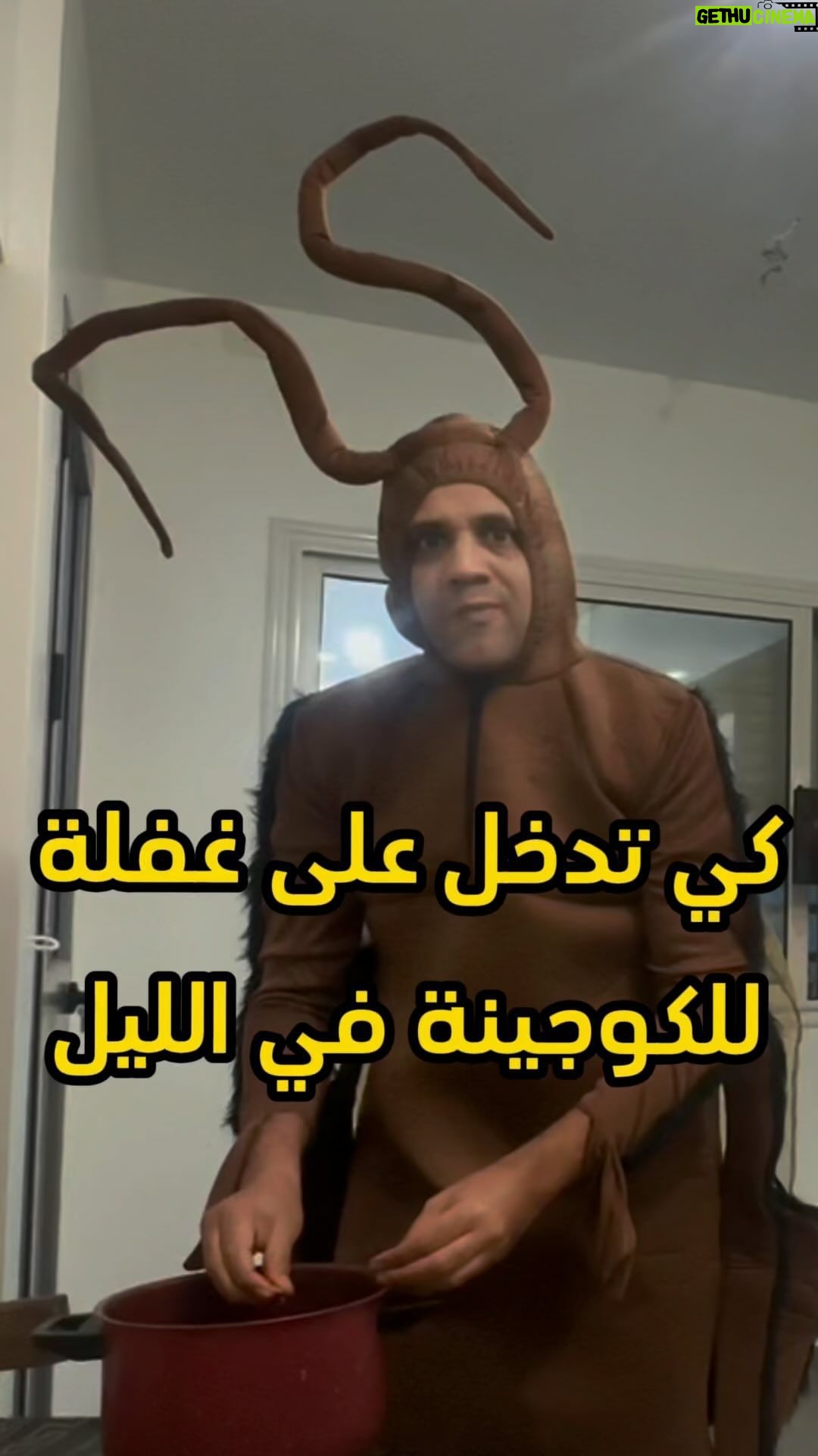 Bassem Hamraoui - 90.9K Likes - كي تجوع نص الليل و تدخل للكوجينة على غفلة😅😂 وانت كي تلقى خنفوسة اش تعمل؟🪳