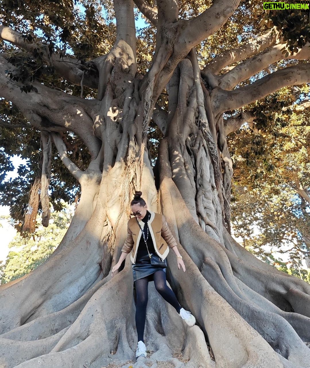 Bayan Alaguzova Instagram - Я так долго позировала, в итоге поняла, что дерево победило - оно совершенно! Valencia, Spania