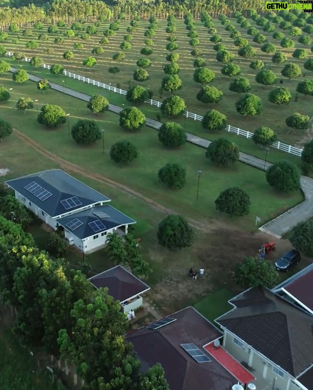 Bea Alonzo Instagram - Our farm has come a long way over the years and I'm proud that we've made it sustainable in every way possible. By investing in solar energy ☀️, we've transformed our home into an eco-friendly haven that saves on electricity costs over time and uses less power which in turn, creates less greenhouse gas emissions. I'm happy that @officialbpi also encourages everyone to choose energy-efficient homes by offering a Solar Mortgage Package along with their BPI Housing Loans for a 7% discounted rate, 7 years fixing period, and up to Php 70k waived bank fees. It's time to power your home sustainably! 🌿 Apply for a housing loan today: https://bit.ly/BPIHLAppForm Learn More: https://bit.ly/BPI777Deals Promo period runs from until December 31, 2023.