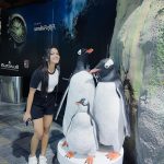 Beauty Khan Instagram - Dubai aquarium 🐟 . . #beautians #beautykhan Dubai, United Arab Emirates