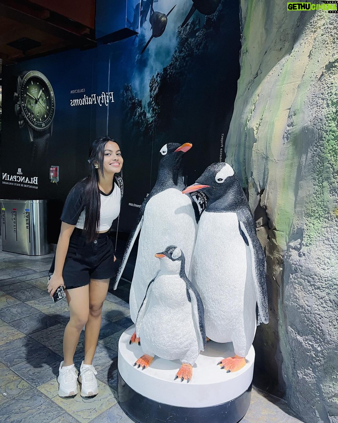 Beauty Khan Instagram - Dubai aquarium 🐟 . . #beautians #beautykhan Dubai, United Arab Emirates