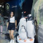 Beauty Khan Instagram - Dubai aquarium 🐟 . . #beautians #beautykhan Dubai, United Arab Emirates