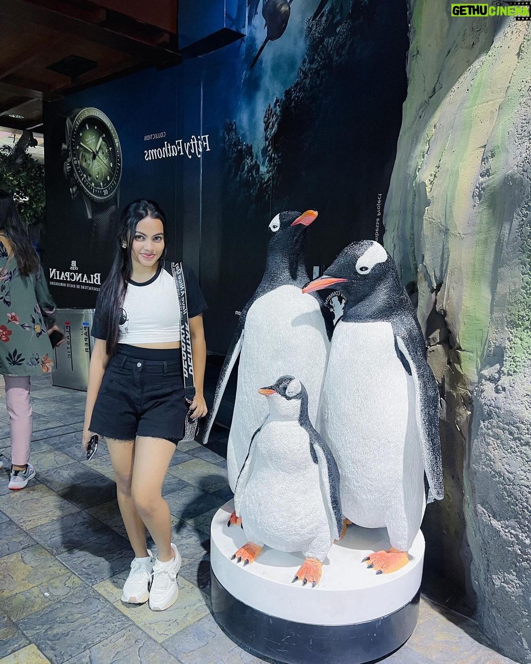 Beauty Khan Instagram - Dubai aquarium 🐟 . . #beautians #beautykhan Dubai, United Arab Emirates