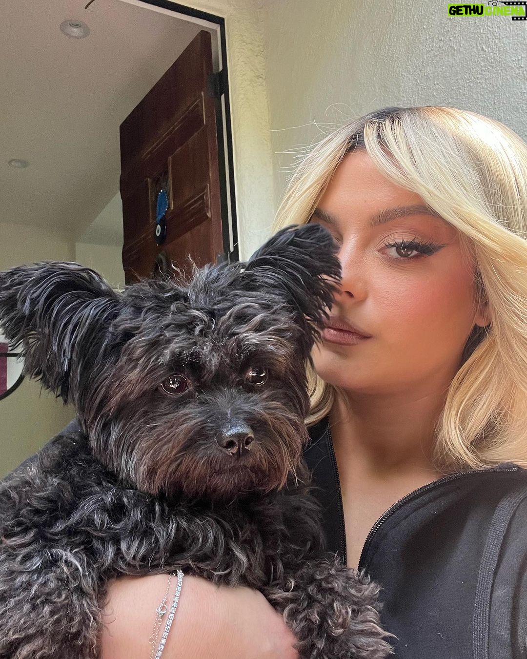 Bebe Rexha Instagram - Happy Saturday!!!! 💙💙💙