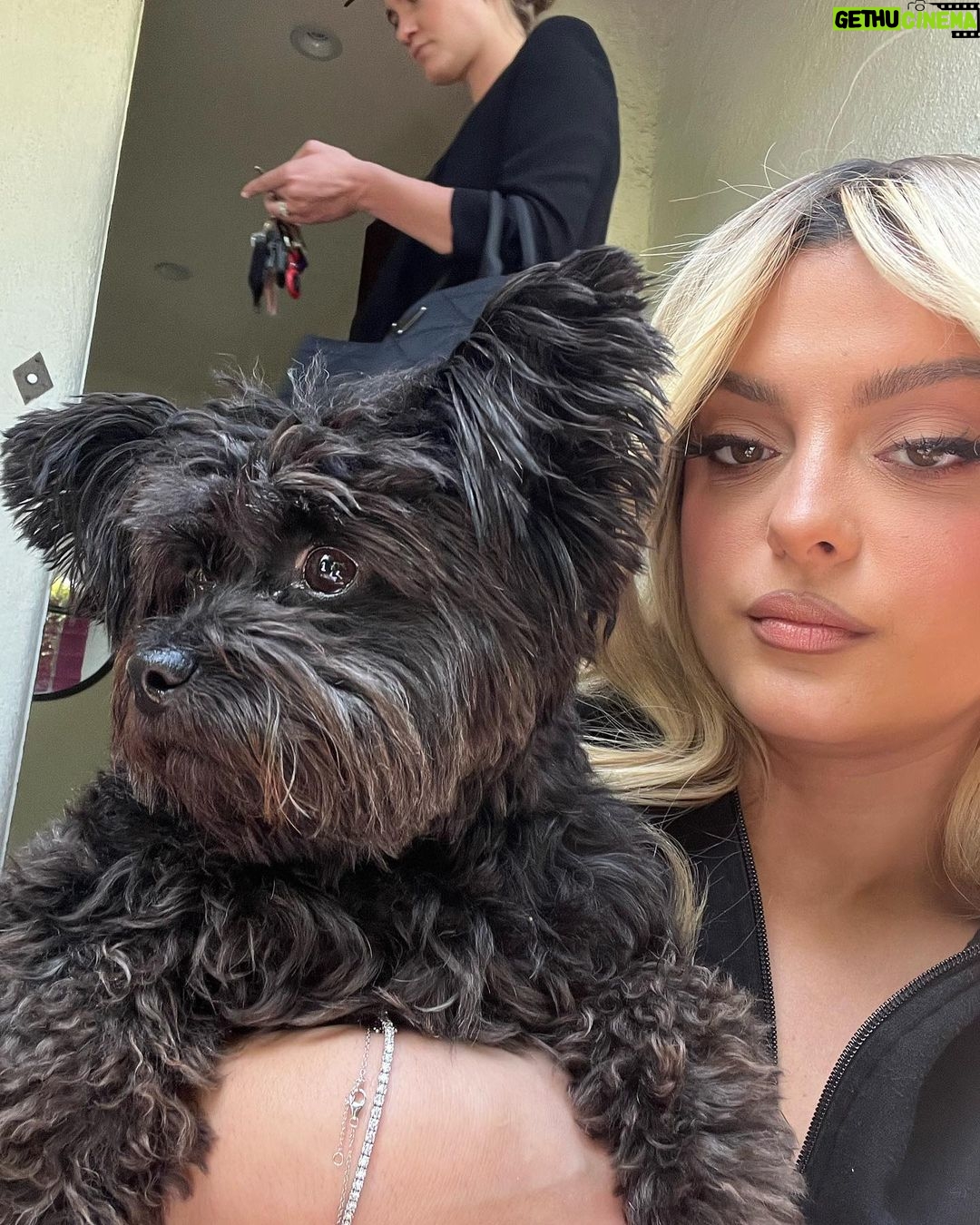 Bebe Rexha Instagram - Happy Saturday!!!! 💙💙💙
