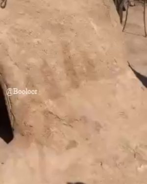 Behnoush Bakhtiari Instagram - من زیاد سفر میکنم
باور میکنم
به چشم خودم
از این بدبخت تر هم دیدم
انگار هیچ راهی نیست
شاید....باید راهی باشد
باید راهی باشد