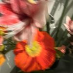 Belén Rodríguez Instagram - Nasce sempre un fiore
