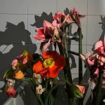 Belén Rodríguez Instagram - Nasce sempre un fiore