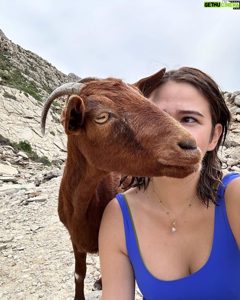 Bela Padilla Instagram - Magical Mallorca 😍❤️ PS: I think this goat (or I) fell in love 😂