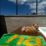 Bella Campos Instagram - Zoe mood edition 1- de ressaca sem paciência 2- curtindo com as amigas na pedra sal 3- de chameguinho com a Love no sambinha 4- esperando a comida ficar pronta 5- pós skincare 6- feliz de tá indo pra algum lugar q nem sabe onde 7- sendo feliz com pouco (uma rampa) 8- mamacita dona de tudo