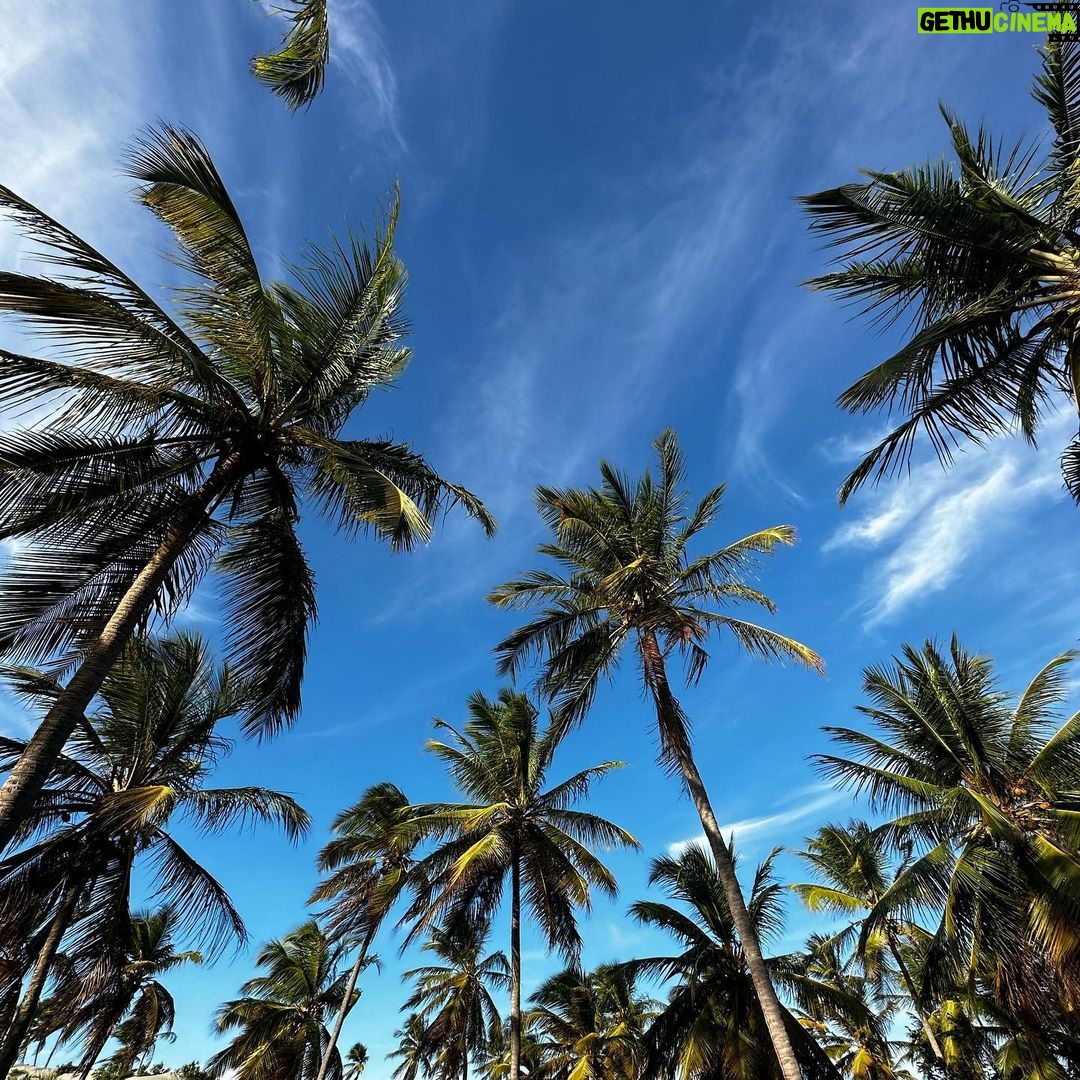 Bella Campos Instagram - eu sou verão da cabeça aos pés e o Ceará sempre me recebendo tão bem!!! 🤎🌴🥥🤍🦐 Preá, Ceara, Brazil