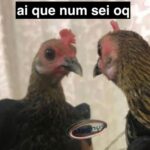 Bella Campos Instagram - Como diria @imeninaveneno se que lá se que lá
