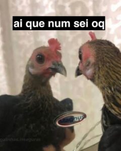 Bella Campos Instagram - Como diria @imeninaveneno se que lá se que lá