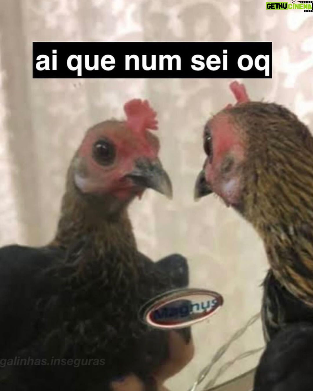 Bella Campos Instagram - Como diria @imeninaveneno se que lá se que lá