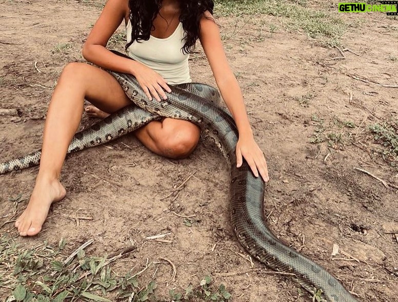 Bella Campos Instagram - Que felicidade ver um trabalho tão incrível ganhando o mundo. Uma delícia relembrar esse clima, que presentão do universo poder dizer que esse foi meu primeiro trabalho na TV, nossa novela, Pantanal, foi indicada ao Emmy Internacional Awards na categira de "Melhor Novela". Muito orgulho de tudo que a gente construiu, quero parabenizar e agradecer toda a equipe, que com muito amor e garra fez dessa novela uma produção tão grandiosa, muita risada, parceria e uma mordida de jacaré pra contar história. Hahaha Separei a minha primeira e última cena pra relembrar essa vibe, que saudade!!! 🤍