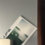 Bella Campos Instagram - I’m making my international career, ok. كوبري اسوان المعلق
