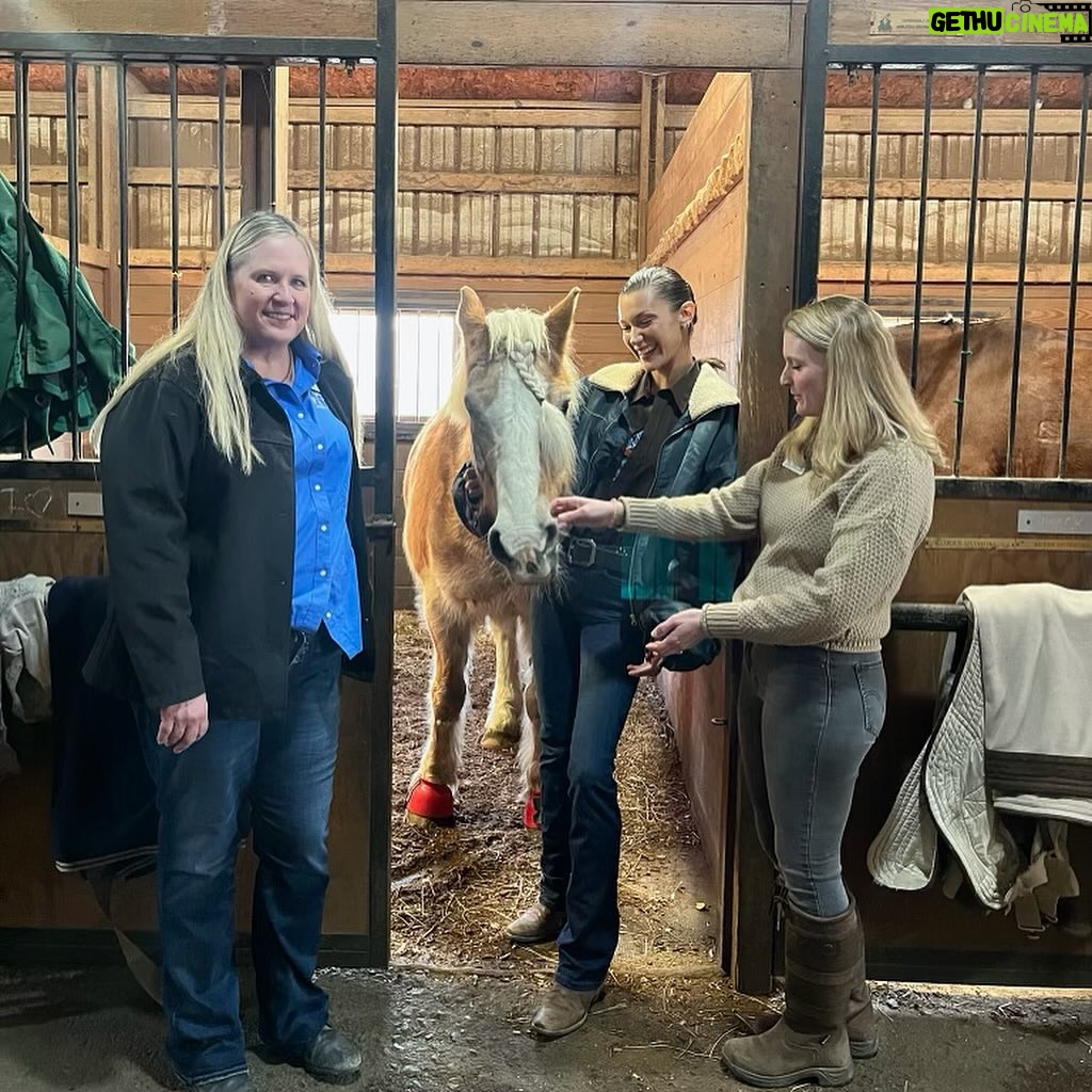 Bella Hadid Instagram - Had the best day at @specialequestrianspa with the sweetest and hardworking riders and volunteers. I feel so lucky to have experienced their magic and learn more about equine therapy and how deeply it can help people worldwide. I made friends for life! Thank you @path.intl for all that you do. You are so cherished and loved! PROFESSIONAL ASSOCIATION OF THERAPEUTIC HORSEMANSHIP INTERNATIONAL (PATH INTL) & SPECIAL EQUESTRIANS BARN AIM TO CHANGE LIVES THROUGH THE POWER OF HORSES BY PROVIDING EQUINE-ASSISTED SERVICES TO PEOPLE OF DIFFERENT ABILITIES.πππ @SPECIALEQUESTRIANSPA @PATH.INTL