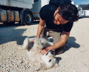 Ben Barnes Instagram - We have wrapped Season 2 of #shadowandbone and whilst most of my pictures are in costume… here are some #memories I am allowed to share from #Budapest with these precious humans! Many more to come…

🖤

1. Group love 🥰
2. OG 6️⃣
3. The boy wonder does my hair 🦸🏻
4. Zoë Wanamaker = legend
5. ☀️💛
6. Daisy Head (probably making a pun) 💜
7. Kit and I swap roles 🔫
8. 🐶❤️ 
9. 🕺🏻🕺🏼