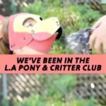 Ben Shapiro Instagram – LOL