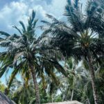 Benjamin Samat Instagram - Maldives 2k23 🌴😎 Si tu zoomes sur la première photo tu peux voir un nuage en forme de Bi*e, un autre en forme de visage, Antman et puis un 6pack made in @fitaya.fr Vous voyez d’autre choses ? Ayada Maldives