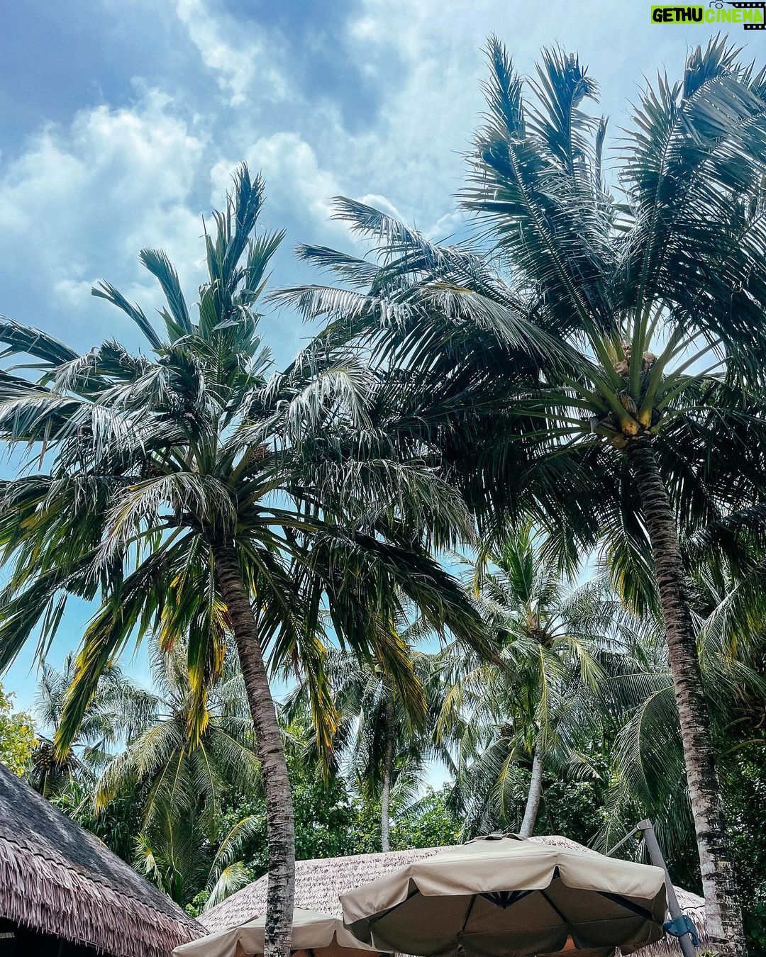 Benjamin Samat Instagram - Maldives 2k23 🌴😎 Si tu zoomes sur la première photo tu peux voir un nuage en forme de Bi*e, un autre en forme de visage, Antman et puis un 6pack made in @fitaya.fr Vous voyez d’autre choses ? Ayada Maldives