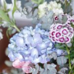 Bergüzar Korel Instagram - Havaların ısınmasına karşı yine ve yeniden; Baharcılık kazanacak!! İyi pazarlar🌸