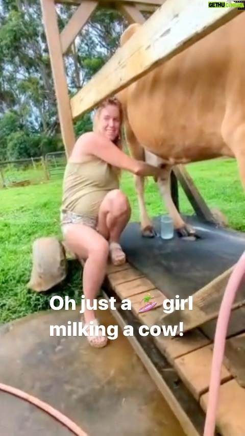 Bethany Hamilton Instagram - Fun experience milking a few cows! What I learned is every teet is different and some are easier than others…😆😂🥛 and it was not easy! My brother is a dairy dairy farmer so we can hang with the cows anytime!
