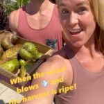 Bethany Hamilton Instagram - When the wind blows 💨🙌🏽 I recruited Adam for today soursap harvest! 😋🤗💨 Also very grateful for this Man right here😊🥰🤗