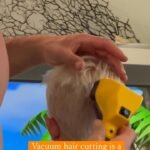 Bethany Hamilton Instagram - Life shortcuts are so great sometimes 💇🏼‍♂️🤙🏽 What’s some of your shortcuts?! 👇🏽