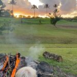 Bethany Hamilton Instagram - Nothing like a summer bonfire! 🔥 #ad Enjoying summer while we can by roasting hotdogs outdoors! We top ours with Primal Kitchen Organic Unsweetened Ketchup because it is has no added sugar! Try Primal Kitchen for yourself by using my code BETHANYSFAVORITES to get 20% off your purchase of $40 or more! #bethanystylehealth #primalkitchen #biggerbite #yourbunsdeservebetter @primalkitchenfoods