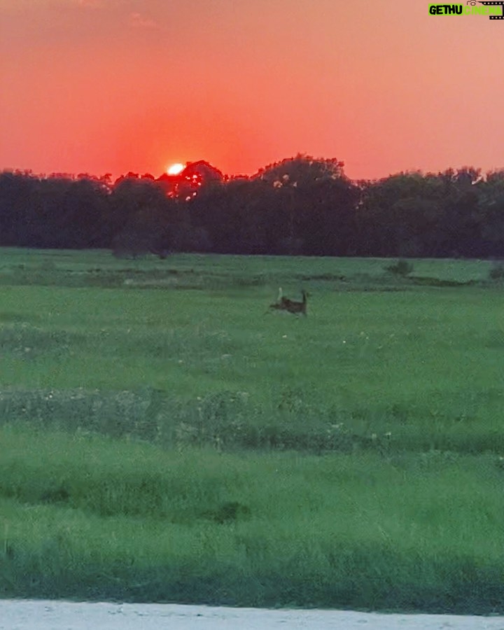 Bethany Hamilton Instagram - Super stoked smiles after an epic day, Micah trying to throw a shakas🤙🏽 & a deer 🦌 prancing off into the gorgeous sunset! Work, friends and play all mixed in for an epic time with a lot of rad people!!!