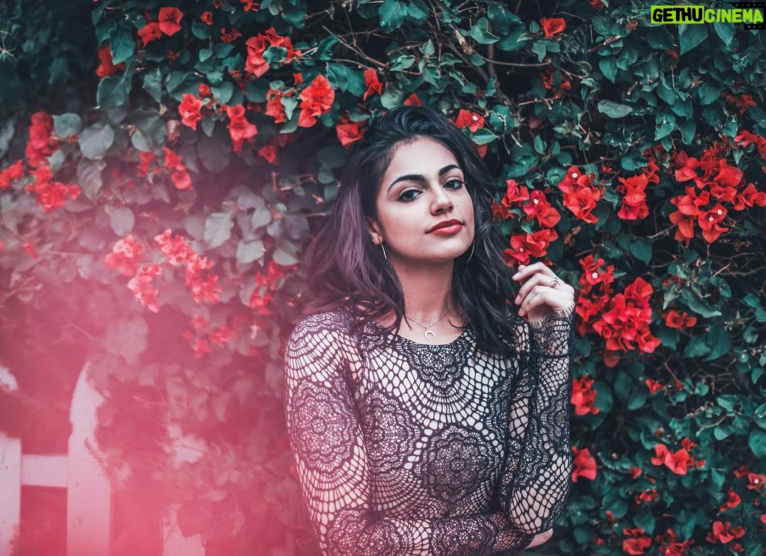 Bethany Mota - 113.8K Likes - weeee Itโs spring! ๐ผ๐ฆ๐ธ๐น lil throwback to this shoot with my fave @brandonwoelfel