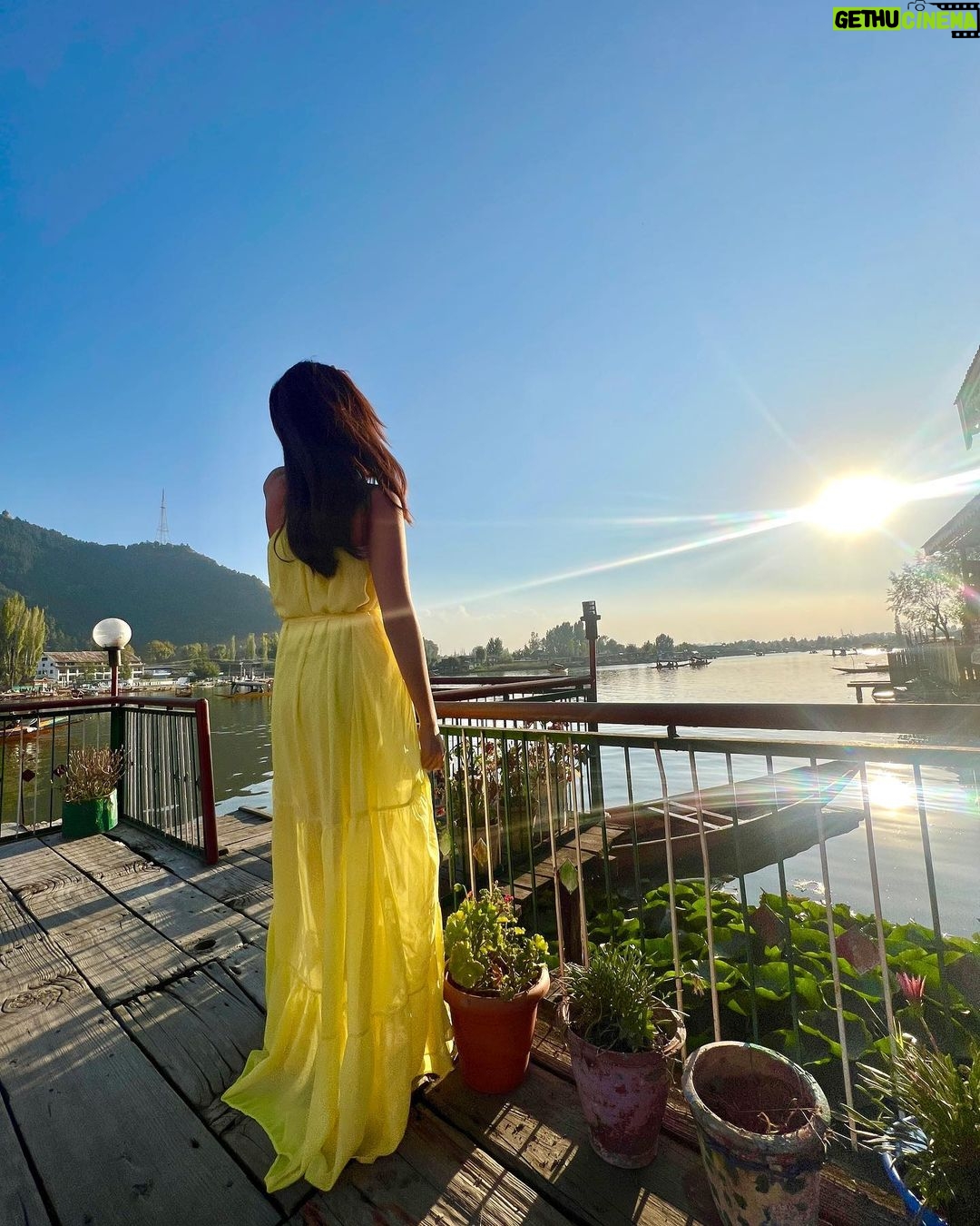 Bhavika Sharma Instagram - You are exactly where you’re supposed to be💛 #travel Dal Lakh Srinager