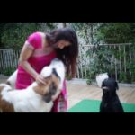 Bhumika Chawla Instagram – Life comes in different colours and happens in different seasons …. Which photo would you say … is your favourite .. ✨ while we decide which colour .. 
it’s time for dream world .. black and white .. .. until next time ✨